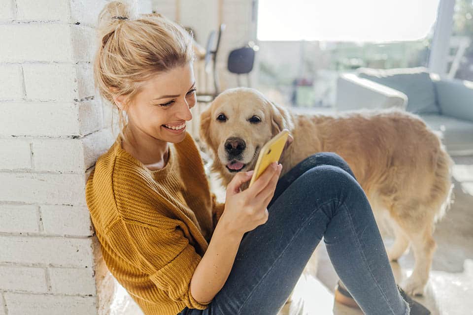 Reading morning news online with a company Photo of a young woman reading morning news online while her dog standing next to her
